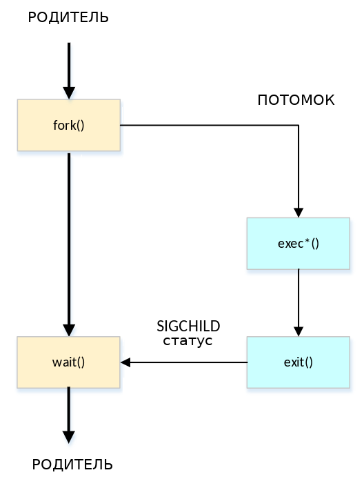 ../_images/alse_mod13_process_branching.png