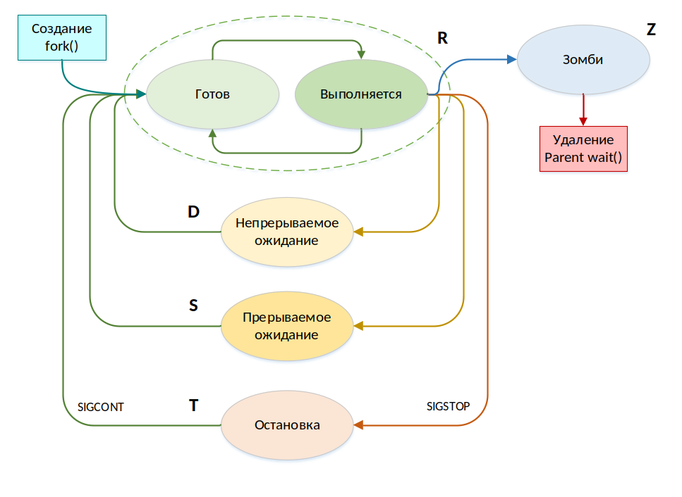 ../_images/alse_mod13_process_lifecycle.png